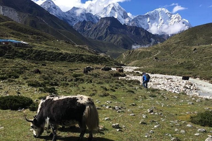 Tour in elicottero sul Monte Everest, Nepal, con viste aeree mozzafiato sull'Himalaya, foto 12 | wizardtrip