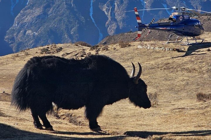 Tour in elicottero sul Monte Everest, Nepal, con viste aeree mozzafiato sull'Himalaya, foto 46 | wizardtrip