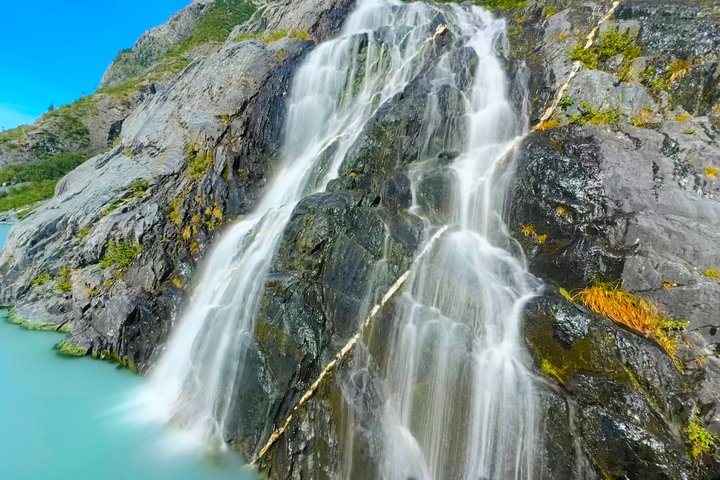 Erkunden Sie Alaskas Wildnis, Tierwelt und Gletscher auf einer malerischen Tour von Anchorage aus, Foto 6 | wizardtrip