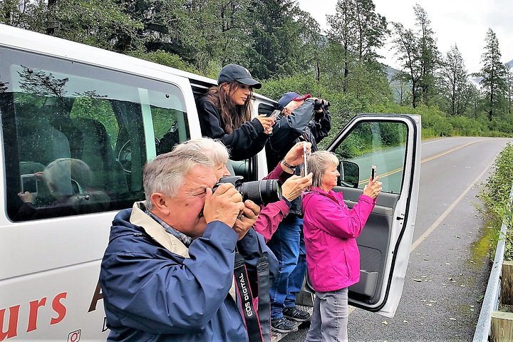 Erkunden Sie Alaskas Wildnis, Tierwelt und Gletscher auf einer malerischen Tour von Anchorage aus, Foto 11 | wizardtrip