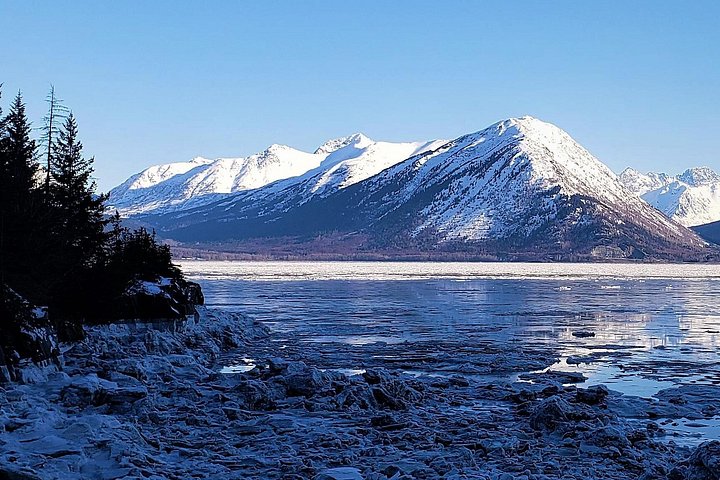 Erkunden Sie Alaskas Wildnis, Tierwelt und Gletscher auf einer malerischen Tour von Anchorage aus, Foto 25 | wizardtrip
