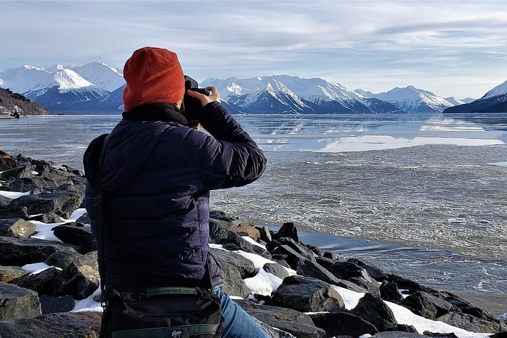 Erkunden Sie Alaskas Wildnis, Tierwelt und Gletscher auf einer malerischen Tour von Anchorage aus, Foto 29 | wizardtrip