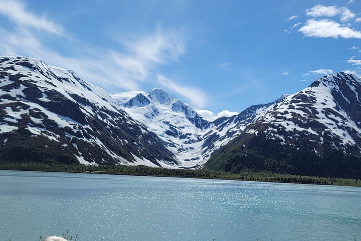 Erkunden Sie Alaskas Wildnis, Tierwelt und Gletscher auf einer malerischen Tour von Anchorage aus, Foto 39 | wizardtrip