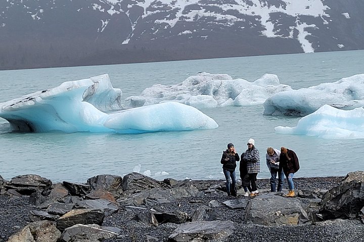 Erkunden Sie Alaskas Wildnis, Tierwelt und Gletscher auf einer malerischen Tour von Anchorage aus, Foto 40 | wizardtrip