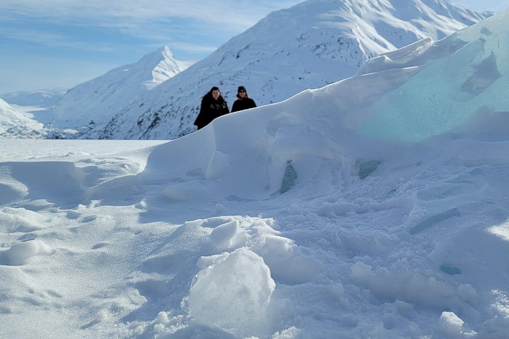 Erkunden Sie Alaskas Wildnis, Tierwelt und Gletscher auf einer malerischen Tour von Anchorage aus, Foto 41 | wizardtrip