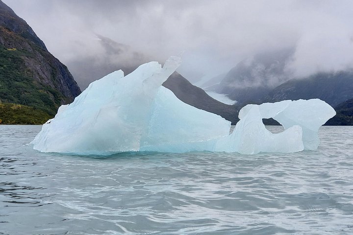 Erkunden Sie Alaskas Wildnis, Tierwelt und Gletscher auf einer malerischen Tour von Anchorage aus, Foto 42 | wizardtrip