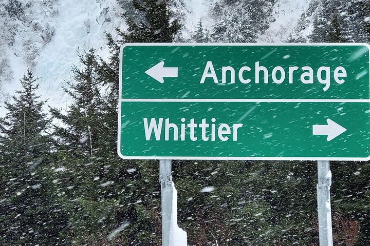 Erkunden Sie Alaskas Wildnis, Tierwelt und Gletscher auf einer malerischen Tour von Anchorage aus, Foto 47 | wizardtrip