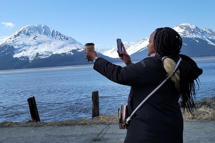 Erkunden Sie Alaskas Wildnis, Tierwelt und Gletscher auf einer malerischen Tour von Anchorage aus, Foto 49 | wizardtrip