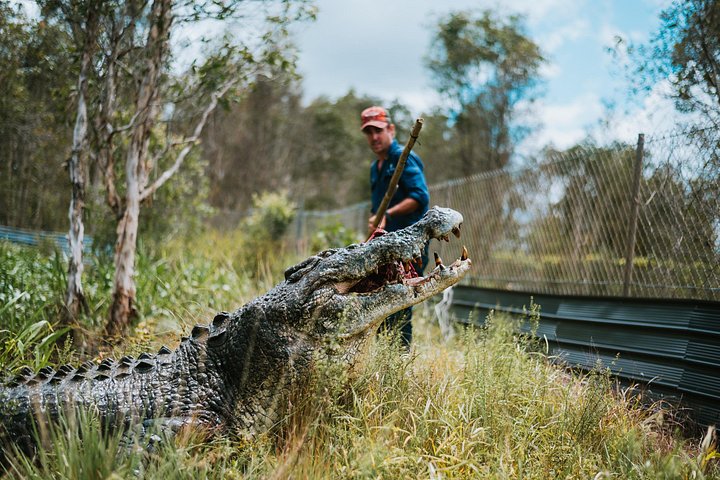 ダーウィンのトップエンドを、スリル満点のヘリコプター、エアボート、ワニとの遭遇で体験しましょう、写真8 | wizardtrip