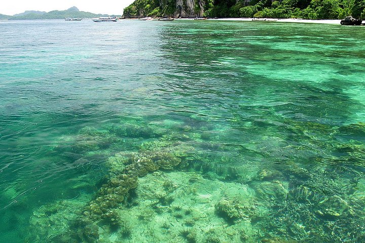 Speedboot tour naar Phi Phi Islands en Maya Bay vanuit Phuket, Thailand, met prachtige stranden en helder water, foto 17 | wizardtrip
