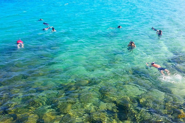 ゴールドコーストのブロードウォーターでのカヤック＆シュノーケルツアー、海の生き物観察、写真6 | wizardtrip