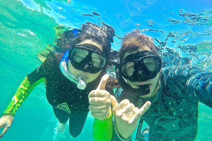 ゴールドコーストのブロードウォーターでのカヤック＆シュノーケルツアー、海の生き物観察、写真34 | wizardtrip