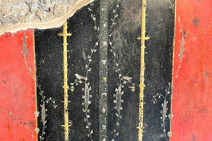 Door archeoloog geleide kleine groepstour die oude Romeinse ruïnes in Pompeii, Italië, verkent, foto 10 | wizardtrip