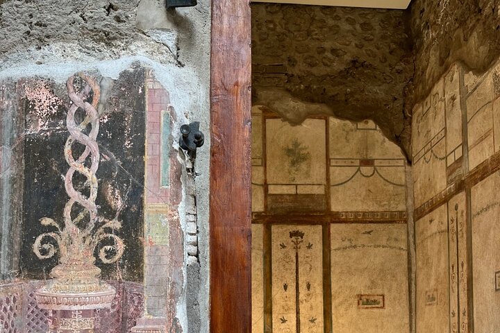 Door archeoloog geleide kleine groepstour die oude Romeinse ruïnes in Pompeii, Italië, verkent, foto 17 | wizardtrip