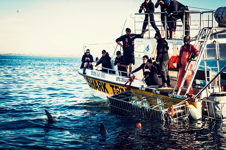 Gansbaai | wizardtrip
