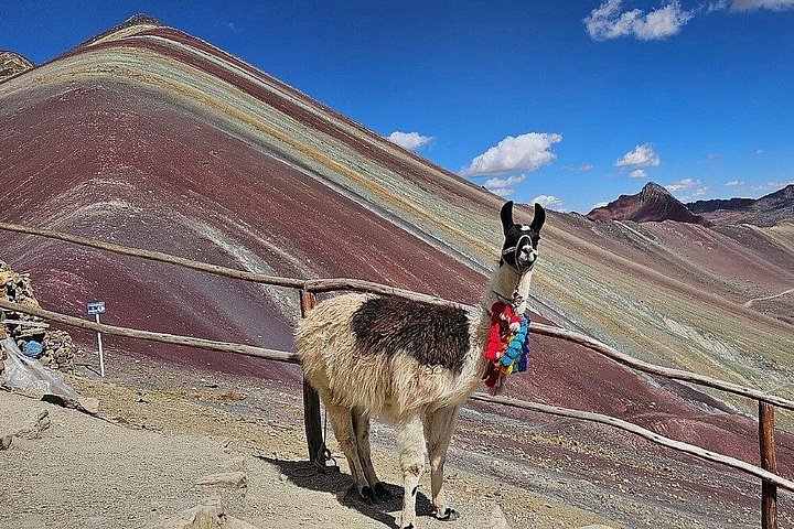 Tourists hiking to the colorful Rainbow Mountain in the Peruvian Andes, photo 25 | wizardtrip