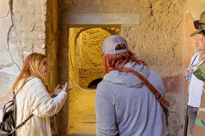 Geführte Tour durch die Ruinen von Pompeji, gefolgt von Weinprobe und Mittagessen mit Blick auf den Vesuv, Foto 10 | wizardtrip