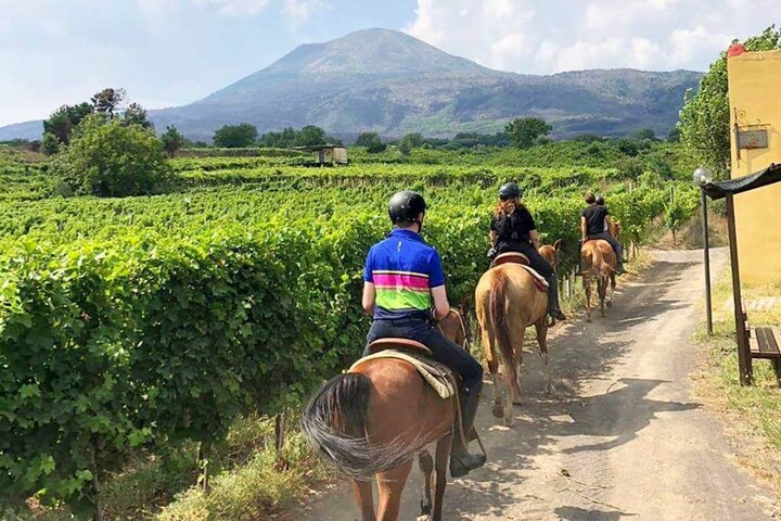Pompeii Guided Tour & Horse Riding on Vesuvius with Lunch | wizardtrip