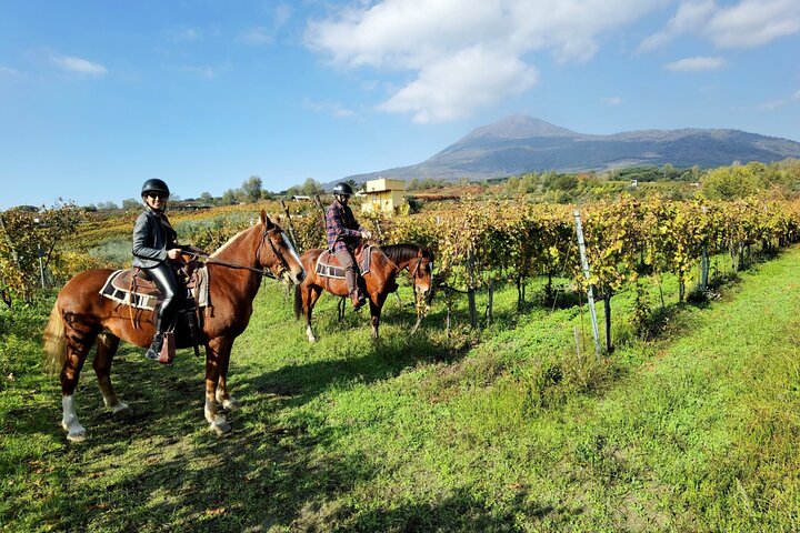 Guidad tur av Pompejis ruiner och ridäventyr på Vesuvius med lunch och vin, foto 9 | wizardtrip