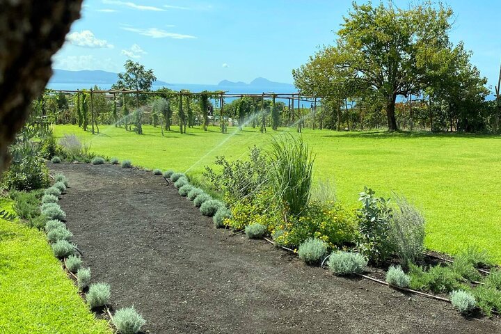 Guidad tur av Pompejis ruiner och ridäventyr på Vesuvius med lunch och vin, foto 19 | wizardtrip