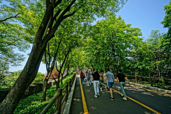 Privat tur, der udforsker DMZ, Hængebroen og N Seoul Tower i Seoul, Sydkorea, foto 10 | wizardtrip