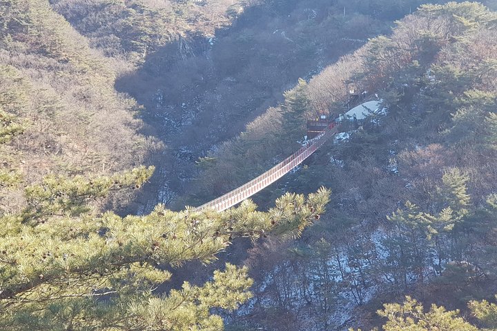 Privat tur, der udforsker DMZ, Hængebroen og N Seoul Tower i Seoul, Sydkorea, foto 17 | wizardtrip