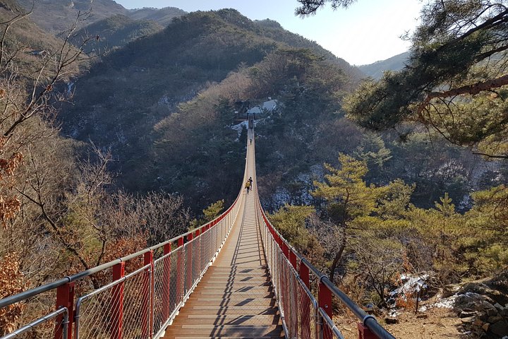 Privat tur, der udforsker DMZ, Hængebroen og N Seoul Tower i Seoul, Sydkorea, foto 18 | wizardtrip