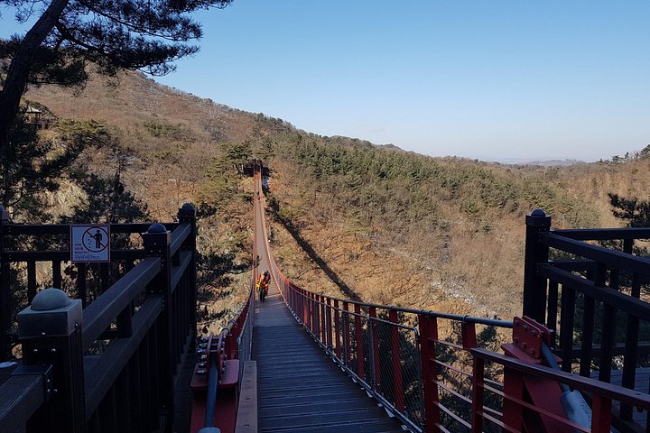 Privat tur, der udforsker DMZ, Hængebroen og N Seoul Tower i Seoul, Sydkorea, foto 20 | wizardtrip