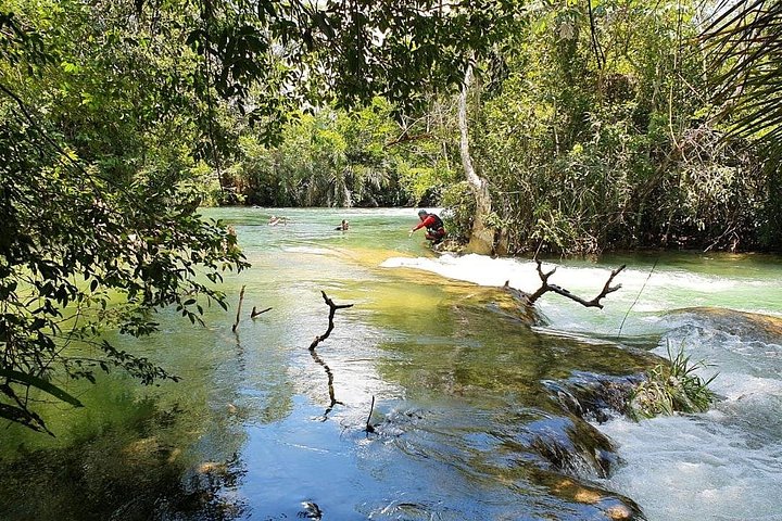 Explorez les paysages luxuriants et les eaux rafraîchissantes du Parc Écologique Rio Formoso à Bonito, Brésil, photo 12 | wizardtrip