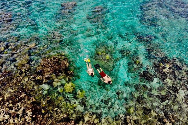 Spannende speedboot tour in St. Maarten met snorkelen, strandstops en vliegtuigspotten, foto 2 | wizardtrip