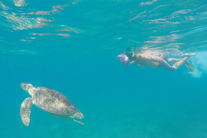 Spannende speedboot tour in St. Maarten met snorkelen, strandstops en vliegtuigspotten, foto 16 | wizardtrip