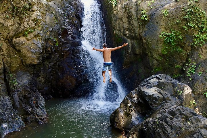 Explore El Yunque Rainforest waterfalls, waterslide, and lush trails on a guided tour from San Juan, photo 1 | wizardtrip