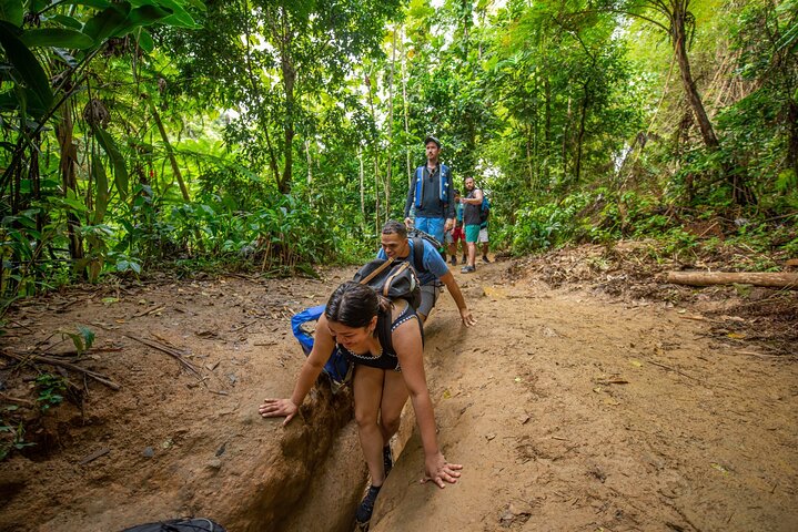 Explore as cascatas, o escorrega aquático e as trilhas exuberantes da Floresta Tropical El Yunque num passeio guiado a partir de San Juan, foto 8 | wizardtrip
