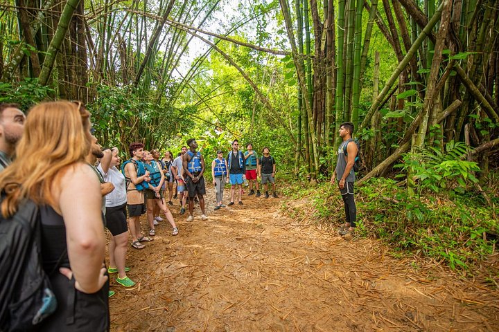 Explore as cascatas, o escorrega aquático e as trilhas exuberantes da Floresta Tropical El Yunque num passeio guiado a partir de San Juan, foto 9 | wizardtrip
