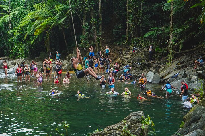Explore as cascatas, o escorrega aquático e as trilhas exuberantes da Floresta Tropical El Yunque num passeio guiado a partir de San Juan, foto 17 | wizardtrip