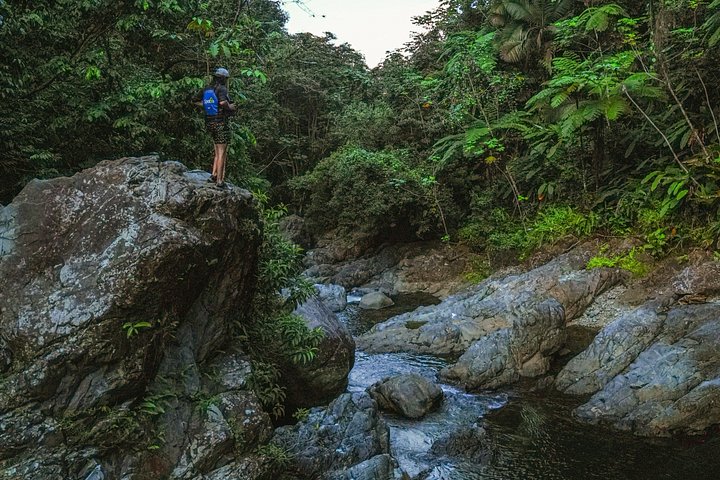 Explore as cascatas, o escorrega aquático e as trilhas exuberantes da Floresta Tropical El Yunque num passeio guiado a partir de San Juan, foto 32 | wizardtrip