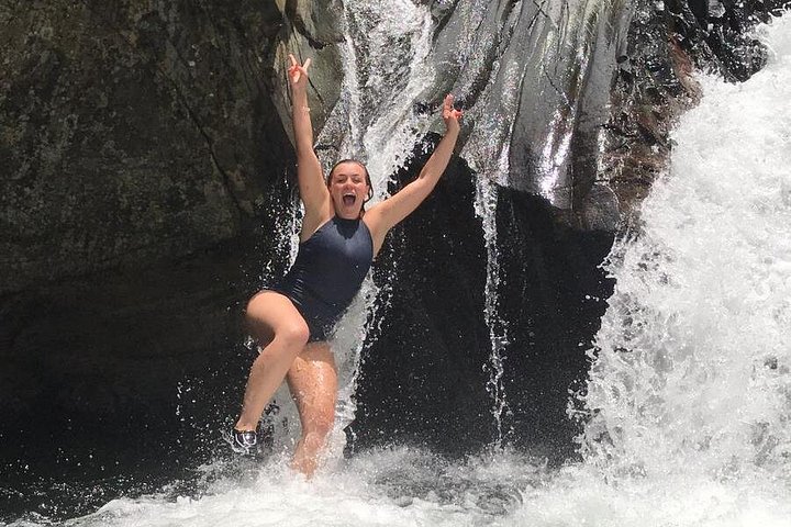 Guidet tur i El Yunque Rainforest i Fajardo, Puerto Rico, med vandrutsjebaner og vandfald, foto 8 | wizardtrip