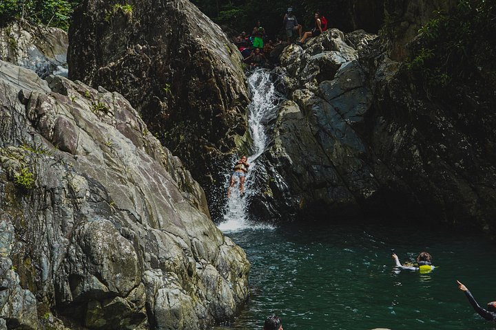 Guidet tur i El Yunque Rainforest i Fajardo, Puerto Rico, med vandrutsjebaner og vandfald, foto 14 | wizardtrip