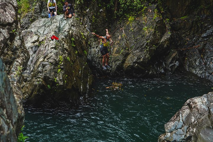 Guidet tur i El Yunque Rainforest i Fajardo, Puerto Rico, med vandrutsjebaner og vandfald, foto 15 | wizardtrip