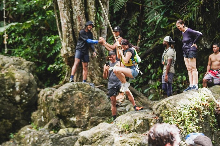 Guidet tur i El Yunque Rainforest i Fajardo, Puerto Rico, med vandrutsjebaner og vandfald, foto 19 | wizardtrip