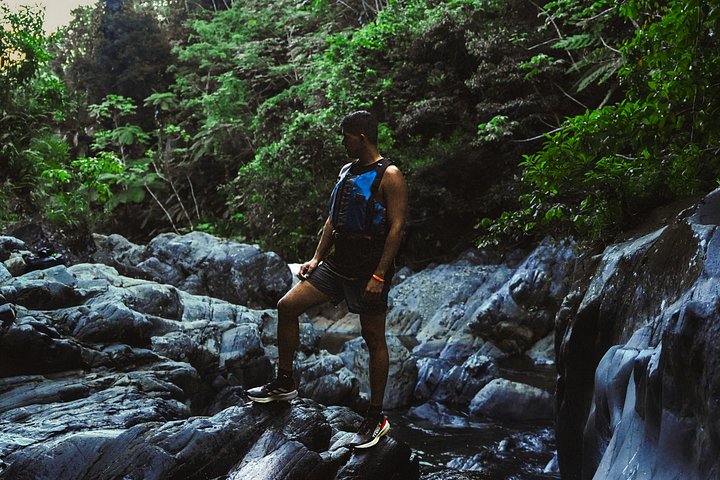 Guidet tur i El Yunque Rainforest i Fajardo, Puerto Rico, med vandrutsjebaner og vandfald, foto 27 | wizardtrip