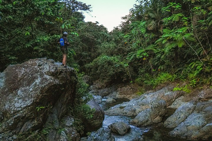 Guidet tur i El Yunque Rainforest i Fajardo, Puerto Rico, med vandrutsjebaner og vandfald, foto 29 | wizardtrip