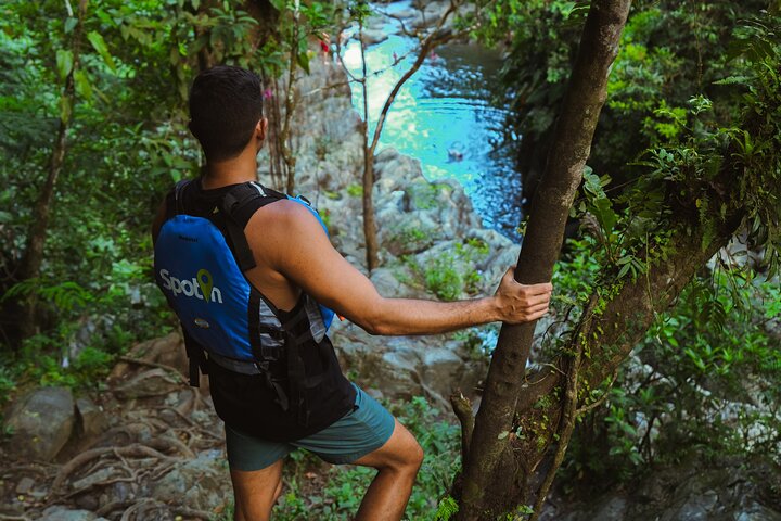 Guidet tur i El Yunque Rainforest i Fajardo, Puerto Rico, med vandrutsjebaner og vandfald, foto 35 | wizardtrip