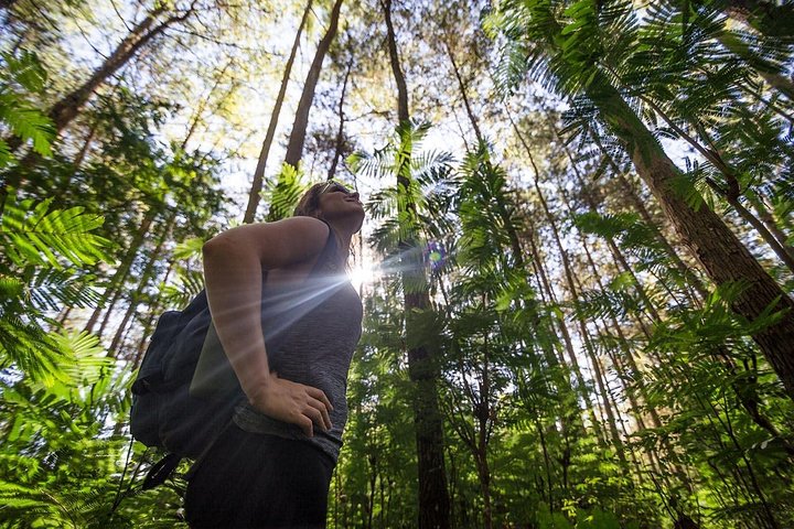 Solopgangsvandretur til Mount Batur-toppen i Ubud, Bali, Indonesien, med vulkansk udsigt og morgenmad, foto 6 | wizardtrip