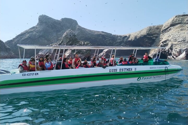 Ballestas Islands Boat Tour from Paracas | wizardtrip