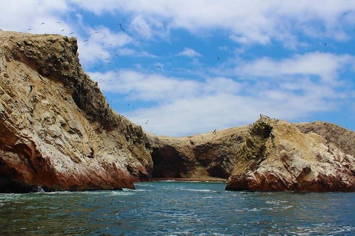 Bootsfahrt zu den Ballestas-Inseln ab Paracas, Peru, mit Tierwelt und Küstenlandschaften, Foto 6 | wizardtrip