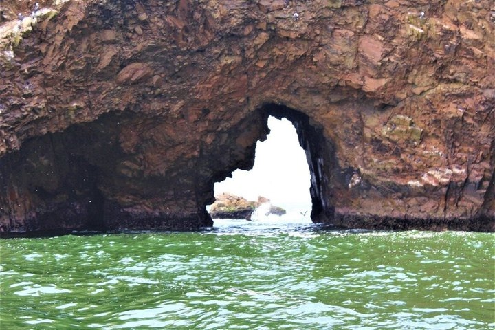 Bootsfahrt zu den Ballestas-Inseln ab Paracas, Peru, mit Tierwelt und Küstenlandschaften, Foto 14 | wizardtrip