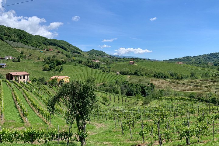 Utforsk Prosecco-åsene fra Venezia, inkludert vinsmaking og lunsj, foto 10 | wizardtrip