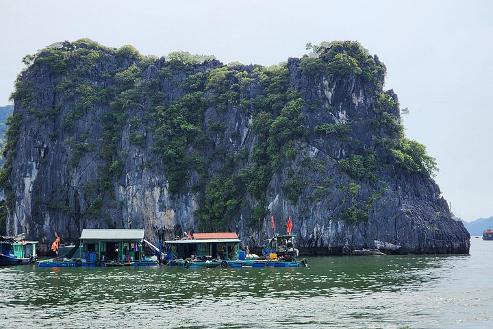 Full-day cruise exploring Ha Long Bay's caves, islands, and waters from Hanoi, photo 14 | wizardtrip