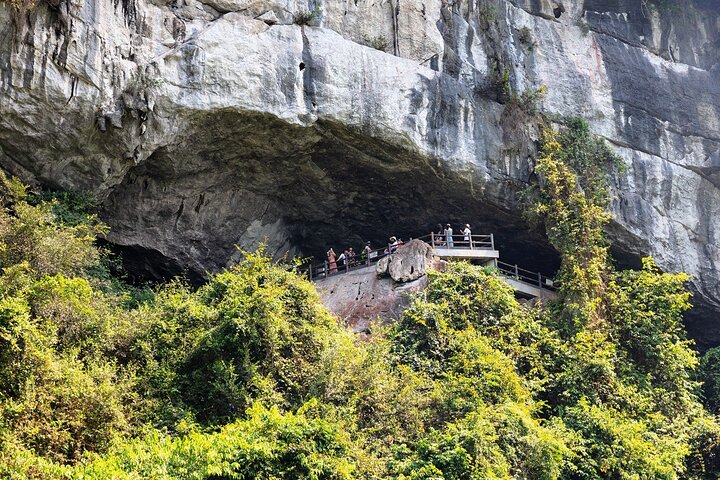 Full-day cruise exploring Ha Long Bay's caves, islands, and waters from Hanoi, photo 17 | wizardtrip